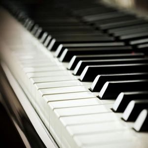 伊人久久久久久久久久
