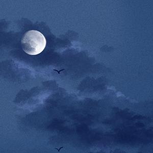 伊人久久久久久久久久
